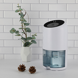 28Ȧ-ƽ̨,עᳩĻ֮!